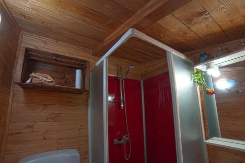 a bathroom with a toilet and a red shower at Casa sull'albero Bocchineri in Rogliano