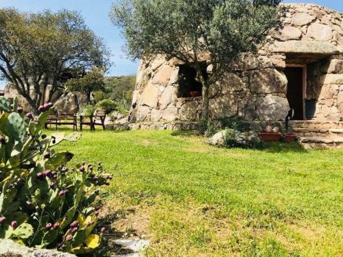 an old stone house with a grass field and trees at Il Nuraghe del lago Coghinas in Oschiri