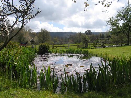 a pond in the middle of a field at Brook Barn in Selham