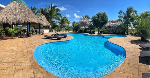 a large swimming pool with chairs and palm trees at Brahma Blue Resort in San Pedro