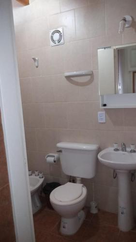 a bathroom with a toilet and a sink at Departamento Familiar Centro in San Agustín de Valle Fértil