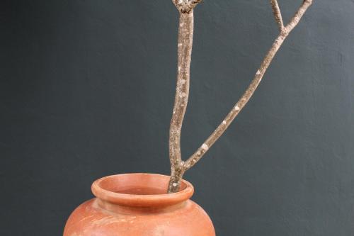an orange vase with two branches in it at Villas H2O in Tulum