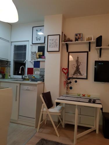 Kuhinja oz. manjša kuhinja v nastanitvi Apartment Jovana Krunska