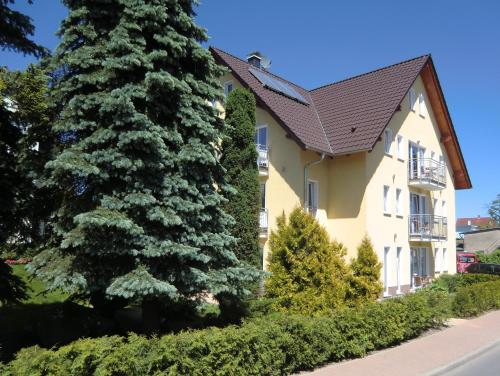 ein Haus mit einem großen Baum davor in der Unterkunft Pension Delia Will in Ahlbeck