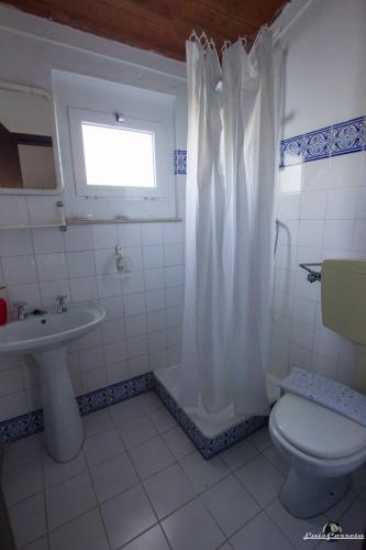 a bathroom with a toilet and a sink and a shower at Casa das 3 Palmeiras in Arraiolos
