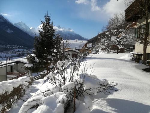 a snow covered yard with a christmas tree and a house at Ansitz Hofer in Fulpmes