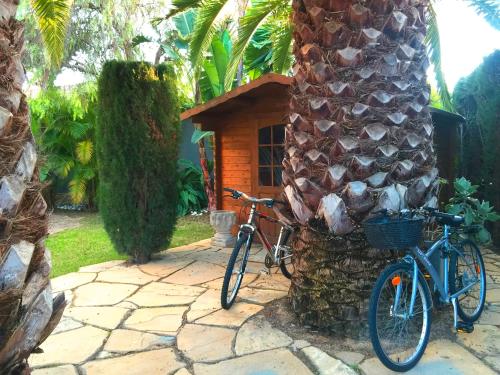 a bike parked next to a palm tree at Villa de Lujo con Jardines y Piscina in El Puerto de Santa María