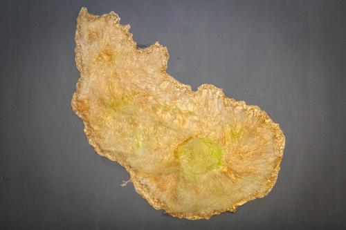 a piece of an orange with a green center at Palm Spring Inn in Oranjestad