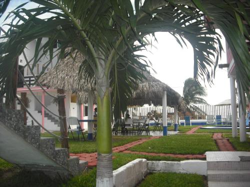 a palm tree in front of a building at Hotel Villas del Rey in Chachalacas