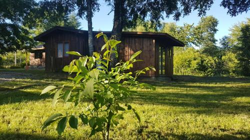 a small wooden cabin in a field with a tree at Cabañas Los Maquis in Pucón