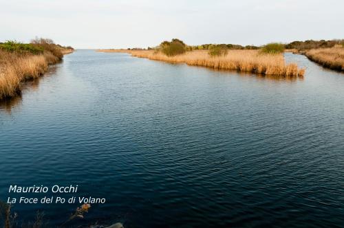 a view of a river with trees and grass at La Via Del Volano in Codigoro