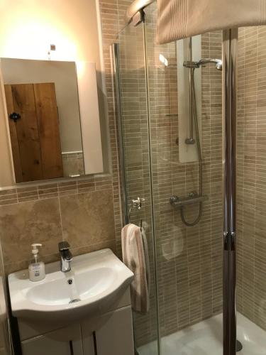 une salle de bain avec un lavabo et une douche dans l'établissement Maison de Bois Royale, à Royère-de-Vassivière