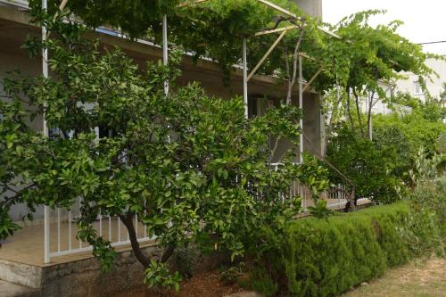 Zahrada ubytování Studio Apartman Šutić
