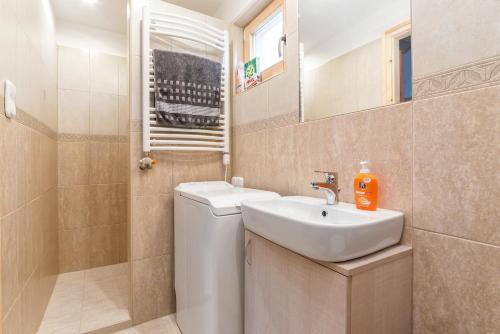 ein Badezimmer mit einem Waschbecken, einem WC und einem Spiegel in der Unterkunft Füred Deluxe Garden Apartment in Balatonfüred
