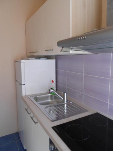 a kitchen with a sink and a refrigerator at B&B Eva in Ičići