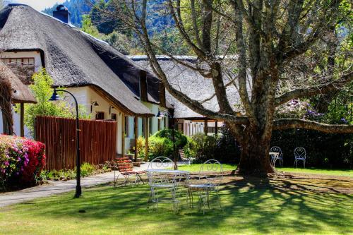 a house with a tree in front of it at Hogsback Arminel Hotel in Hogsback
