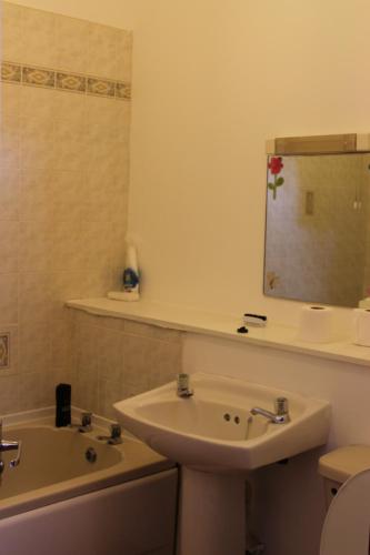 a bathroom with a sink and a toilet and a mirror at Welltrees Apartments 8 Dailly Road in Maybole