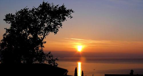 a sunset over the water with a tree in the foreground at B&B Eva in Ičići