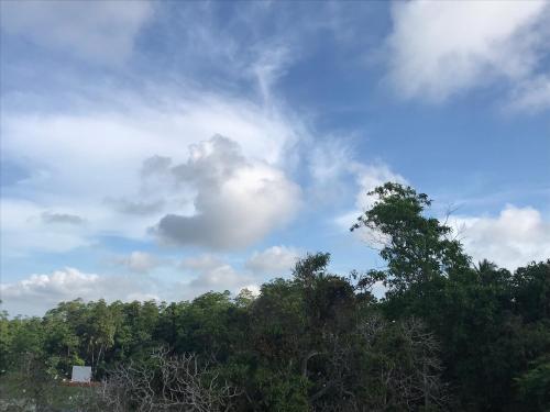 a group of trees under a cloudy sky at Hikka Hill Loft in Hikkaduwa