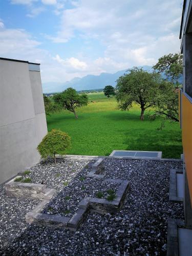 a garden with a tree in the middle of a building at wohnMOTEL - Hinterforst in Altstätten