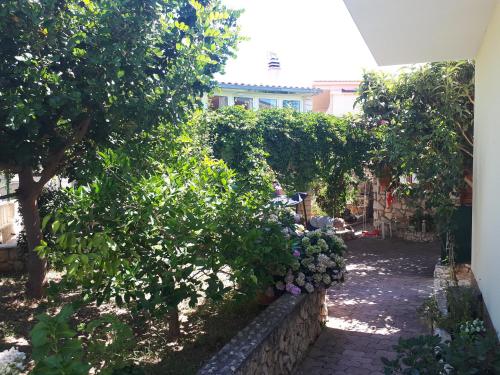 Apartmani Maja Kanica