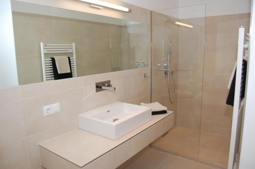 ein Bad mit einem Waschbecken und einer Dusche mit einem Spiegel in der Unterkunft WS-Appartement in Kitzbühel