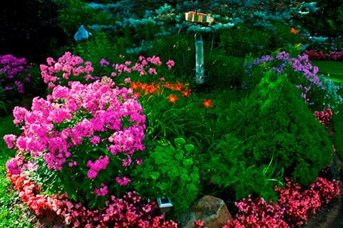 a garden filled with colorful flowers and a bird feeder at Gîte au Pied du Courant de Gilbert Desjardins in Mont-Laurier
