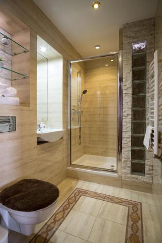 a bathroom with a shower and a toilet and a sink at Apartamenty Ciche Wzgórze Zakopane in Zakopane