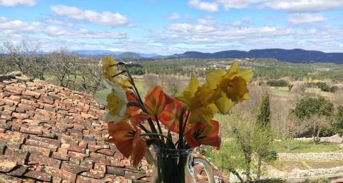 a vase of flowers sitting on top of a wall at B&B Champdelaplume in Barjac
