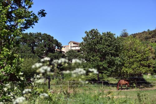 a horse grazing in a field with a house in the background at B&B Champdelaplume in Barjac
