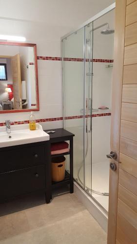 a bathroom with a shower and a sink and a mirror at Villa Chamarel in Carcès