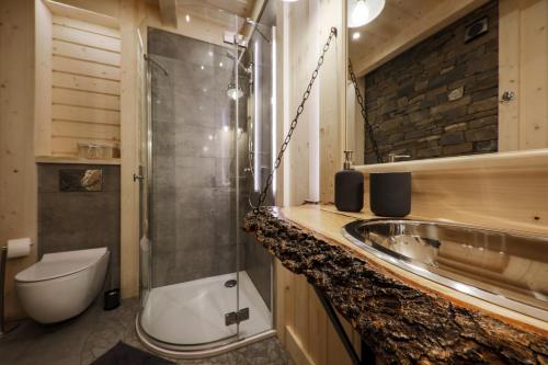 a bathroom with a sink and a toilet and a shower at Osada Maruszyna in Szaflary