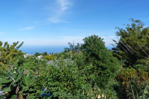 a view of the ocean through the trees at L'Orée du Maïdo in Le Guillaume