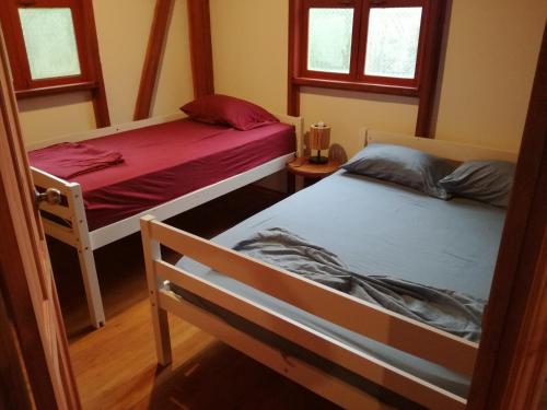 duas camas num quarto com duas janelas em Chalet Y Cabinas Hibiscus em Cahuita
