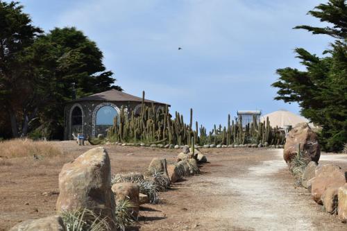 Ein Garten an der Unterkunft Conviento de Lobos