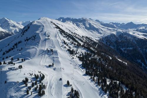 a snow covered mountain with trees on a ski slope at Hôtel Chalet Royal in Veysonnaz