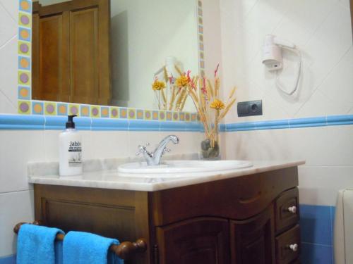 a bathroom with a sink and a mirror at CASA RURAL LOS POCICOS in San Carlos del Valle