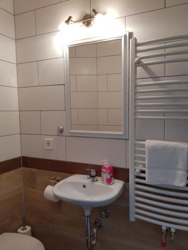 a bathroom with a sink and a mirror and a toilet at Berghotel in Bad Oeynhausen