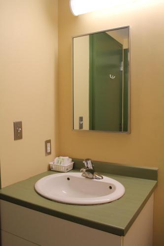 a bathroom with a sink and a mirror at Glendenning Hall at Holland College in Charlottetown