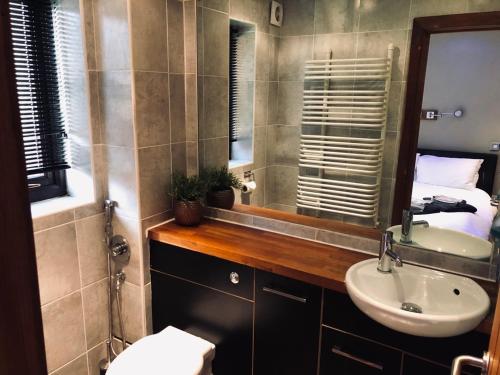 a bathroom with a sink and a toilet and a mirror at 13 St Mary's Mews in Mold