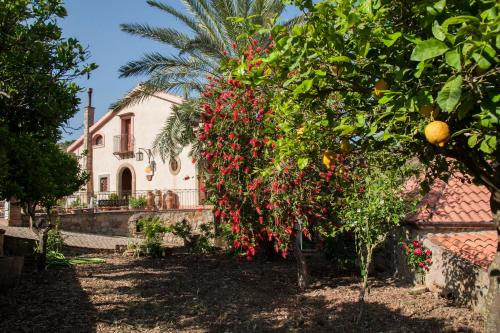 a house with a tree with red berries in front of it at Azienda Agrituristica Bergi in Castelbuono