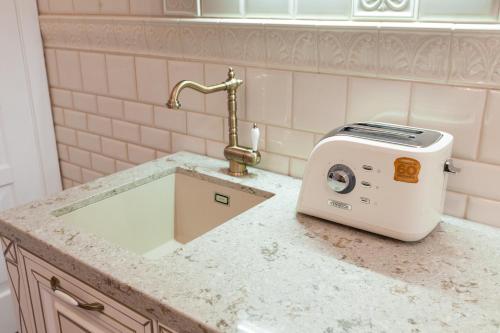 a kitchen sink with a toaster on a counter at LUXOVSKI apartment in Lviv