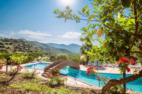 a resort with a swimming pool and mountains in the background at Azienda Agrituristica Bergi in Castelbuono