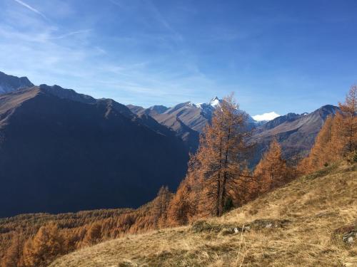 Paisaje cerca de este apartamento
