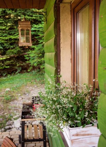 a window of a house with a bench and flowers at Domki i Apartamenty Rogate Anioły in Wetlina