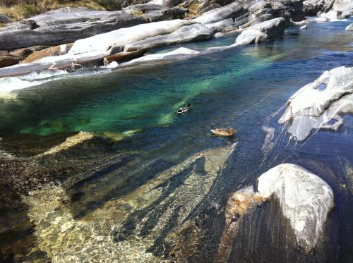 a body of water with snow on the rocks at Rustico Luchessa Valle Verzasca in Lavertezzo