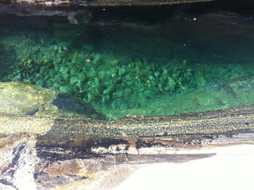 a group of rocks in the water near the shore at Rustico Luchessa Valle Verzasca in Lavertezzo