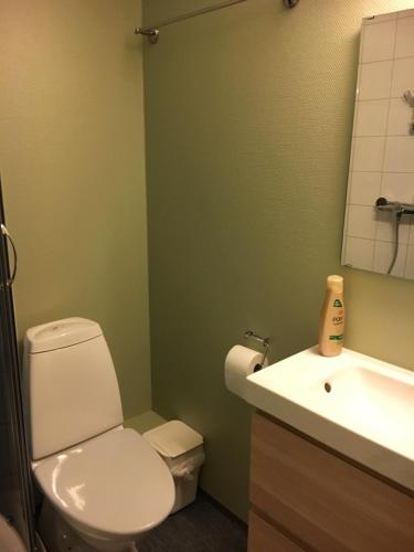 a bathroom with a white toilet and a sink at Oppdal Alpintun Stølen ski in - ski out in Oppdal