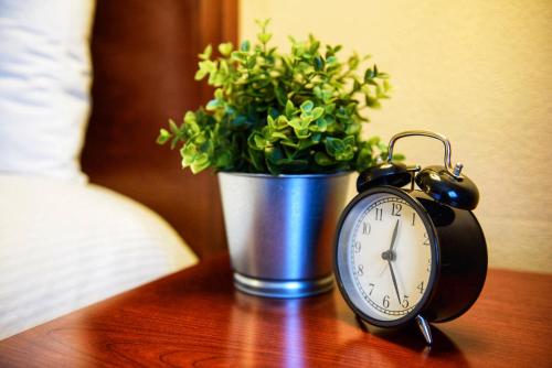 an alarm clock sitting on a table next to a potted plant at Georgetown Inn Seattle in Seattle