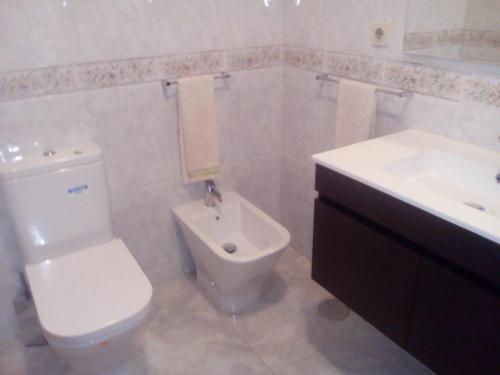 a bathroom with a white toilet and a sink at Apartamento Arosa in Santa Maria Da Feira